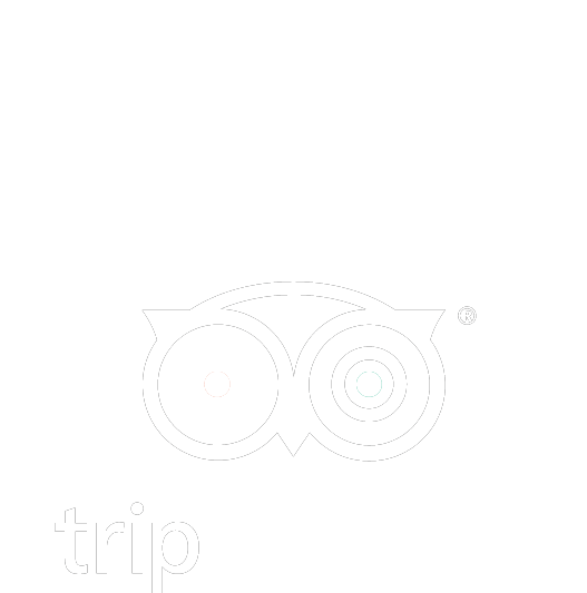 TRIP ADVISOR - 2017 Certificate of Excellence