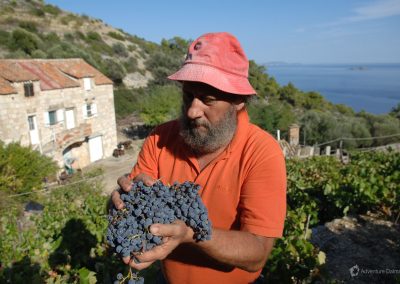 Famous red wines are made at the heart of the Adriatic sea, Svetac island.